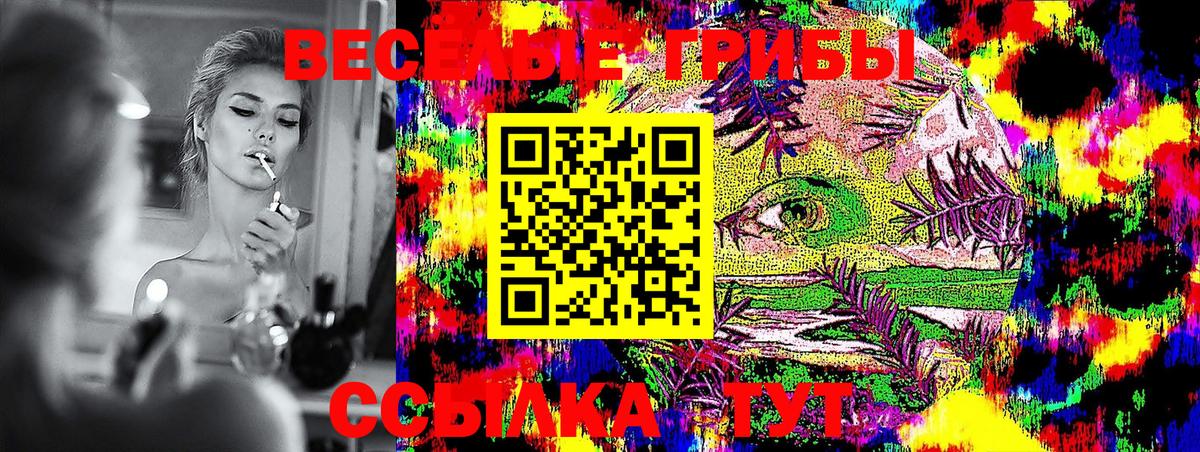 Галлюциногенные грибы мухоморы  Галлюциногенные грибы GOLDEN TEACHER  Магадан  купить   Вход с VPN 