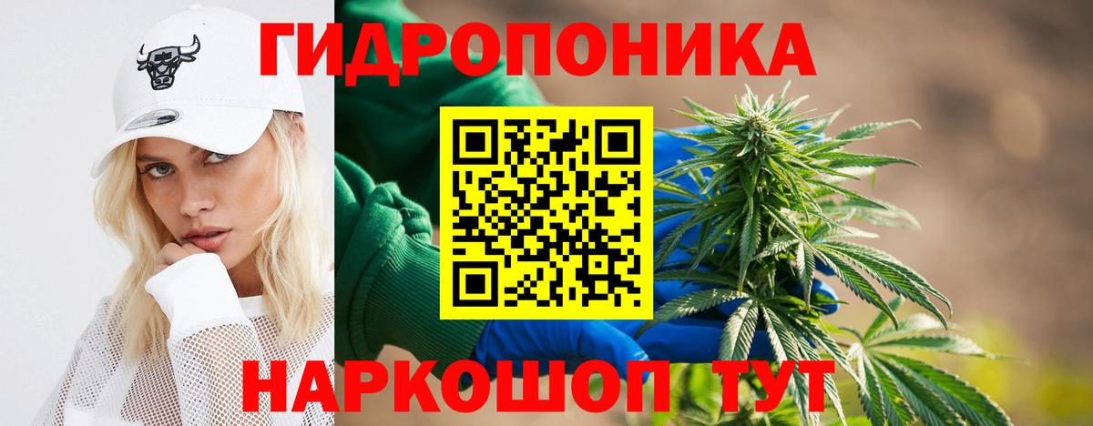 Шишки марихуана OG Kush  Вход с VPN  Шишки марихуана OG Kush  Магадан 